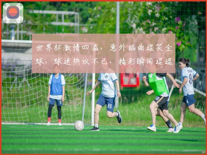 世界杯激情四溢，意外插曲逗笑全球，球迷热议不已，精彩瞬间逗逗乐。