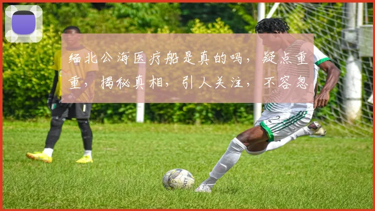 缅北公海医疗船是真的吗，疑点重重，揭秘真相，引人关注，不容忽视，引发热议。