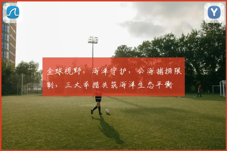 全球视野，海洋守护，公海捕捞限制，三大举措共筑海洋生态平衡